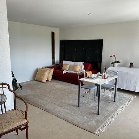 Lakeview Apartment-Lavaux Grandvaux Exteriér fotografie